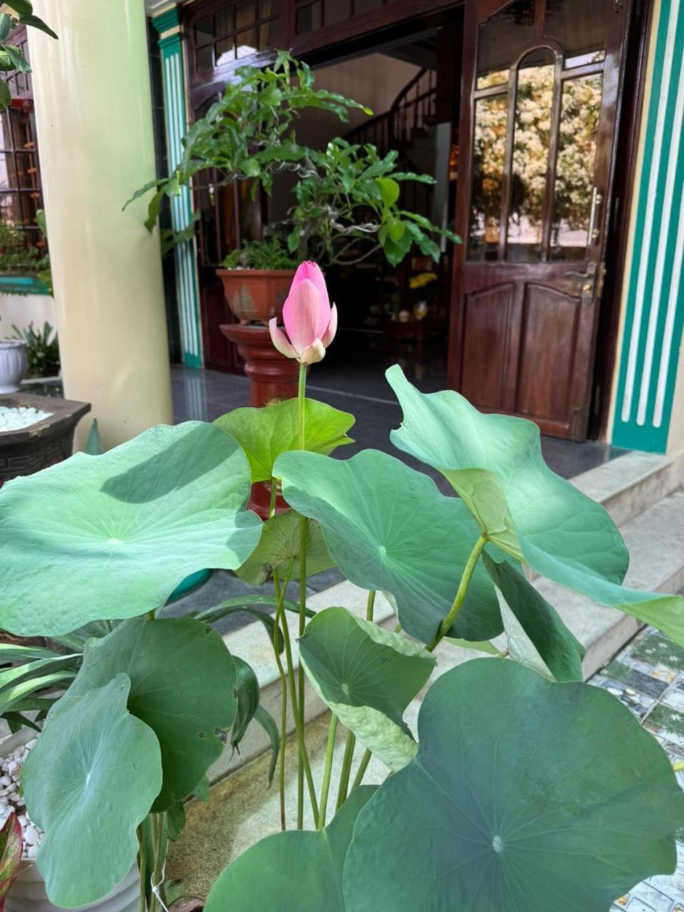 Noel Homestay Tuy Hoa Eksteriør bilde